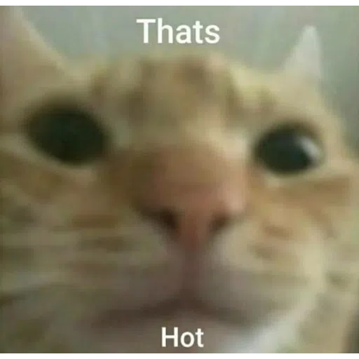 More cattos - Sticker 12