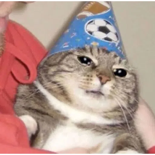 More cattos - Sticker 18