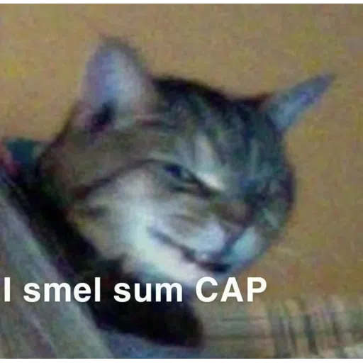 More cattos - Sticker 20