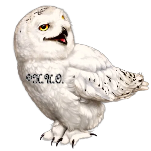 Eulen ?? - Sticker 19