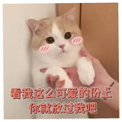 阿巴巴 - Sticker 18