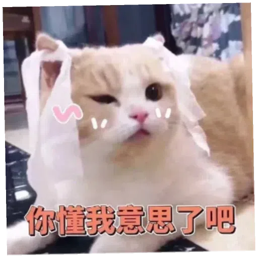 阿巴巴 - Sticker 11
