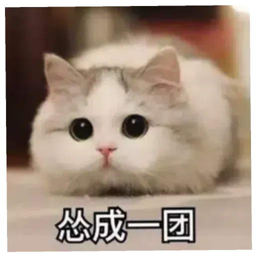 阿巴巴 - Sticker 19
