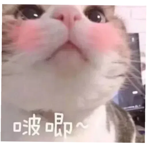 阿巴巴 - Sticker 15
