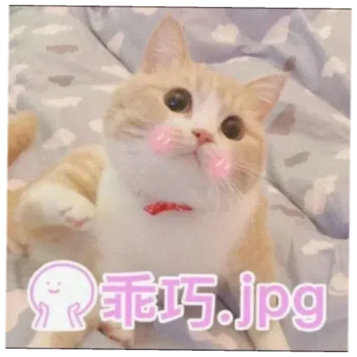 阿巴巴 - Sticker 17