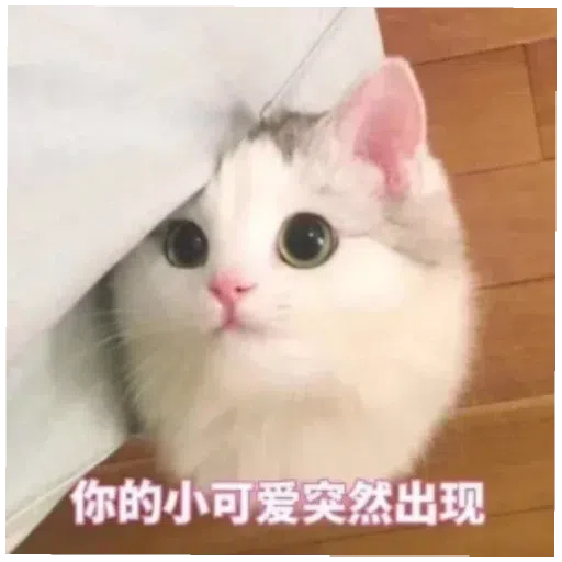 阿巴巴 - Sticker 16