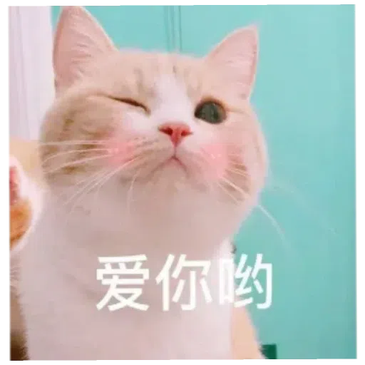 阿巴巴 - Sticker 14