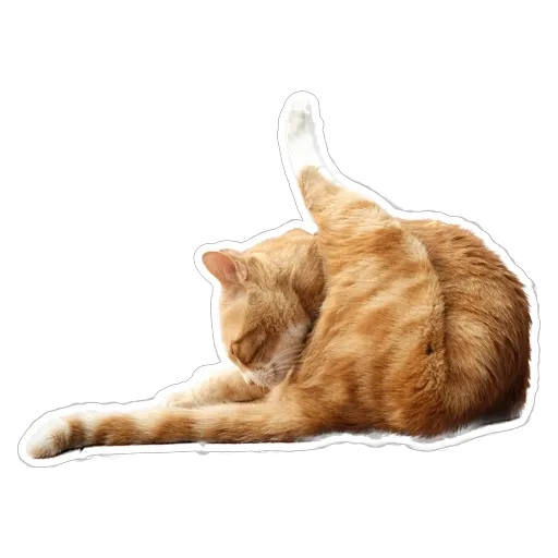 sgn_meow - Sticker 17