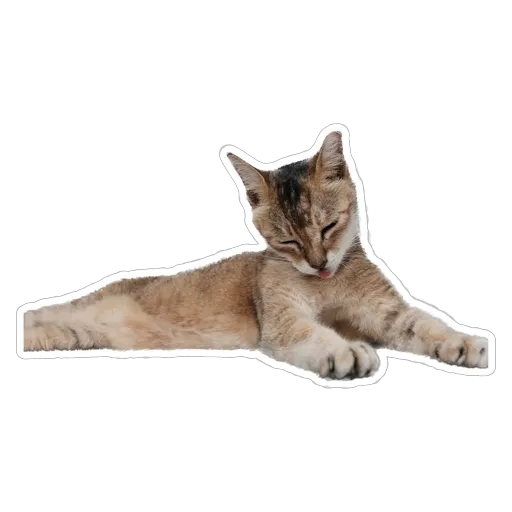 sgn_meow - Sticker 12