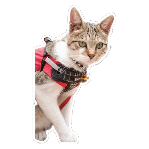 sgn_meow - Sticker 14