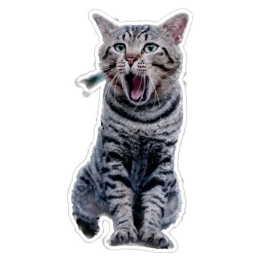 sgn_meow - Sticker 27