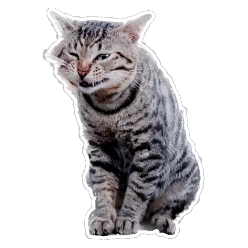 sgn_meow - Sticker 28