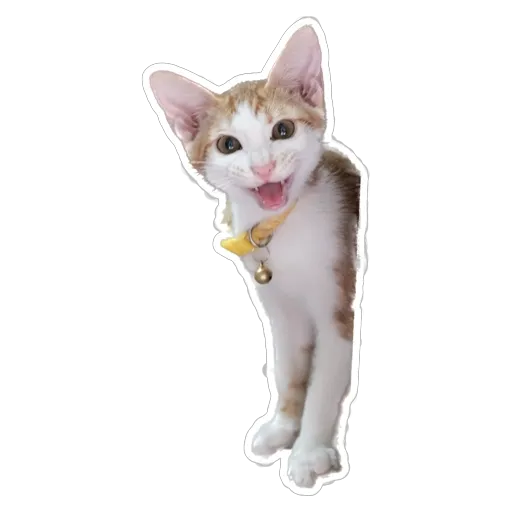 sgn_meow - Sticker 15