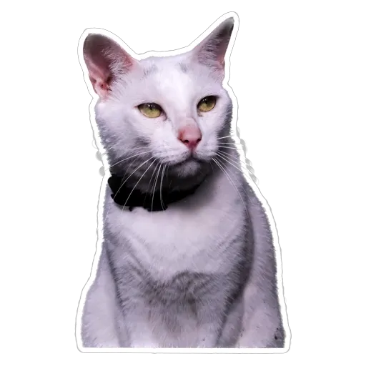 sgn_meow - Sticker 16