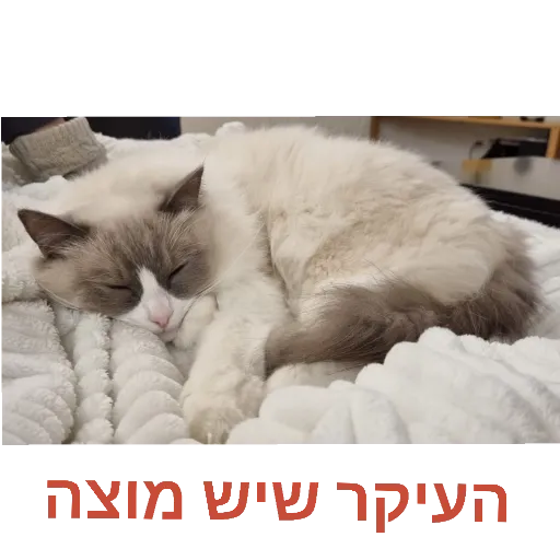 KSLol2 - Sticker 10