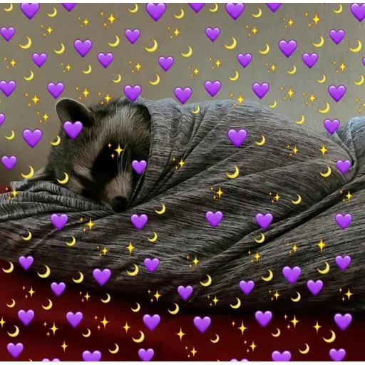 Raccoonz - Sticker 19