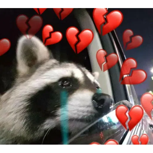 Raccoonz - Sticker 10