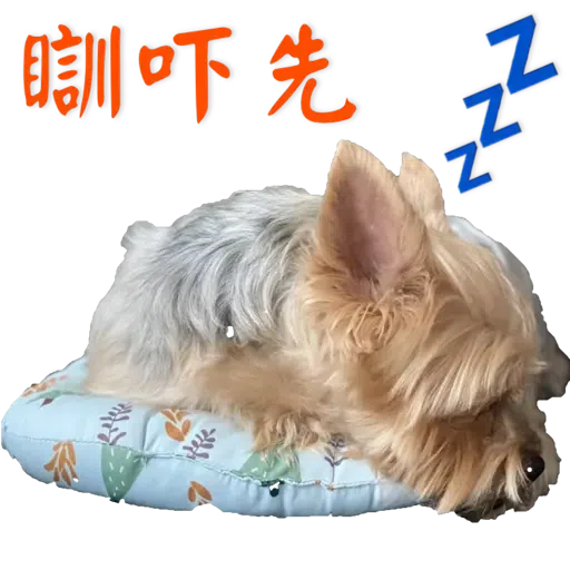 Bagel - Sticker 12