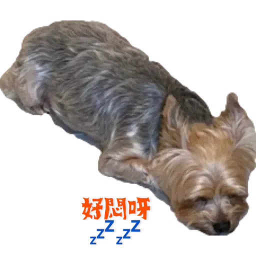 Bagel - Sticker 11