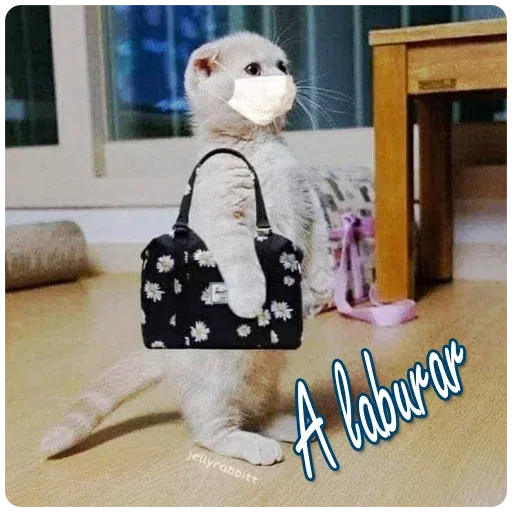 Maruja - Sticker 13
