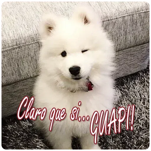 Maruja - Sticker 29