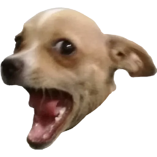 Mi Whats - Sticker 13