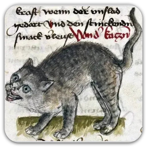 Medieval Cats - Sticker 11