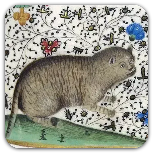Medieval Cats - Sticker 9