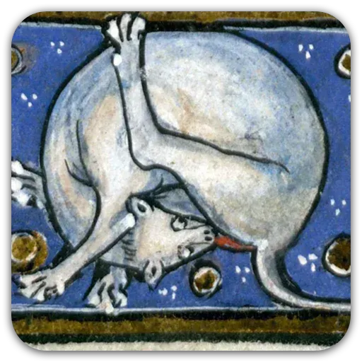 Medieval Cats - Sticker 15