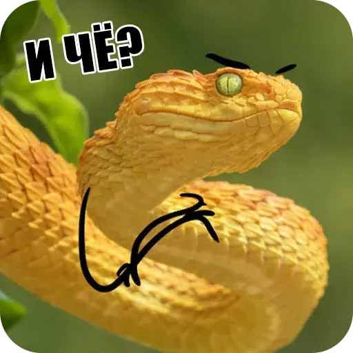snake - Sticker 9