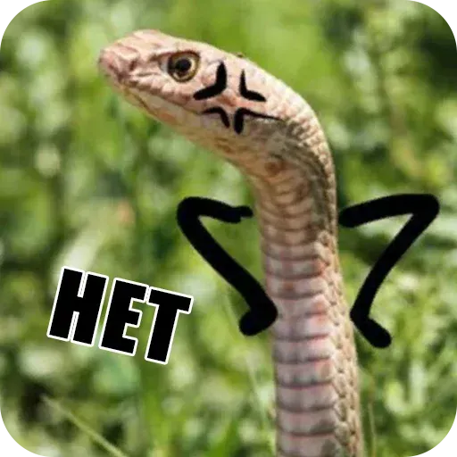 snake - Sticker 15