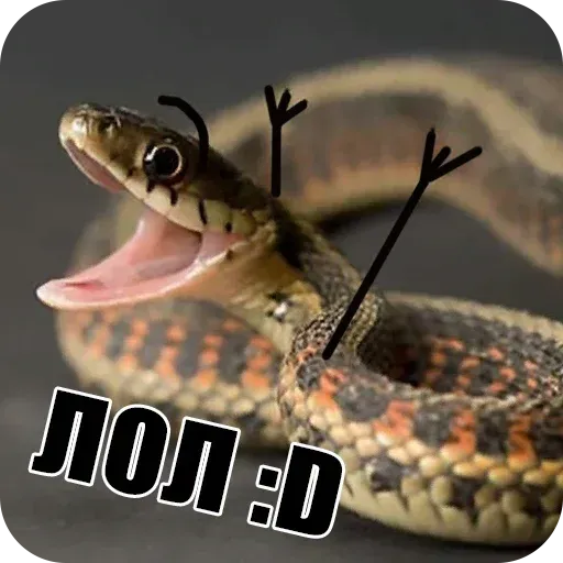 snake - Sticker 16