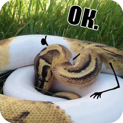 snake - Sticker 11