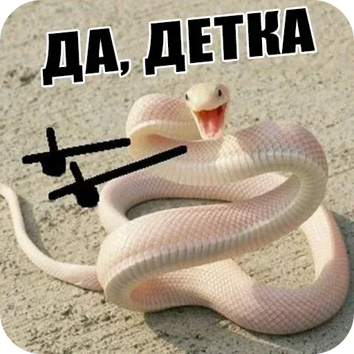 snake - Sticker 13