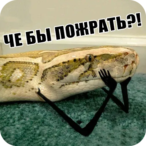 snake - Sticker 19