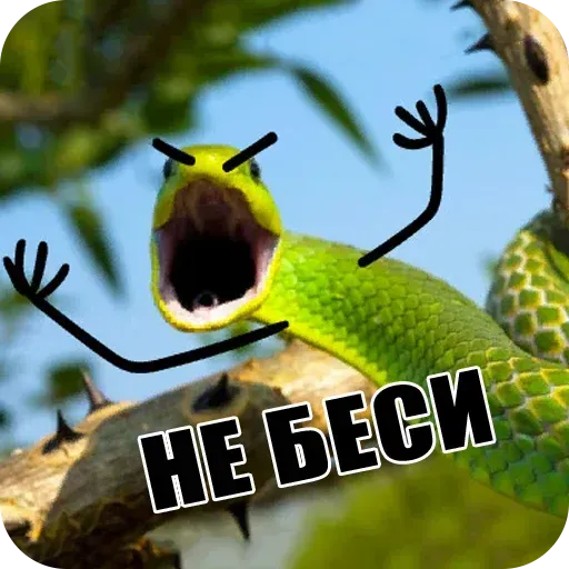 snake - Sticker 14