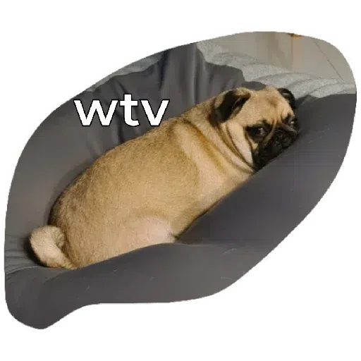 Chib - Sticker 28