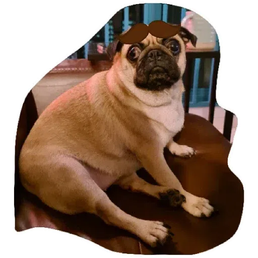 Chib - Sticker 27