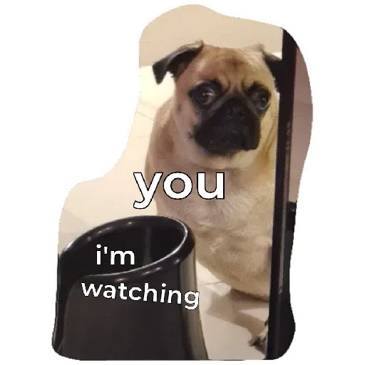 Chib - Sticker 13