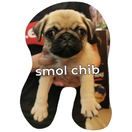 Chib - Sticker 15