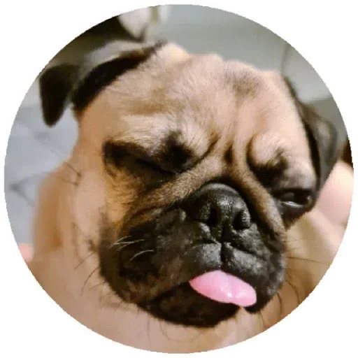 Chib - Sticker 29