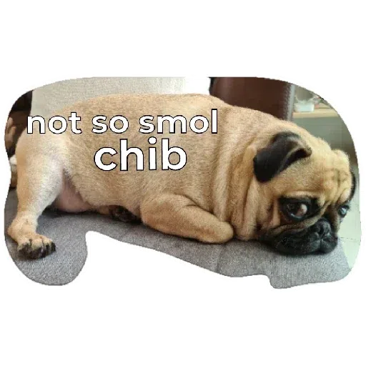 Chib - Sticker 16