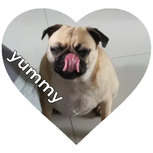 Chib - Sticker 24