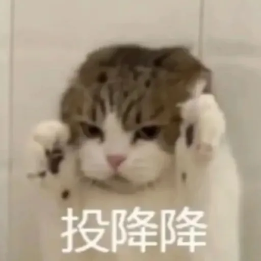 表情包 - Sticker 25