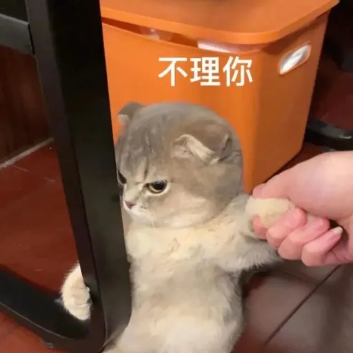 表情包 - Sticker 11