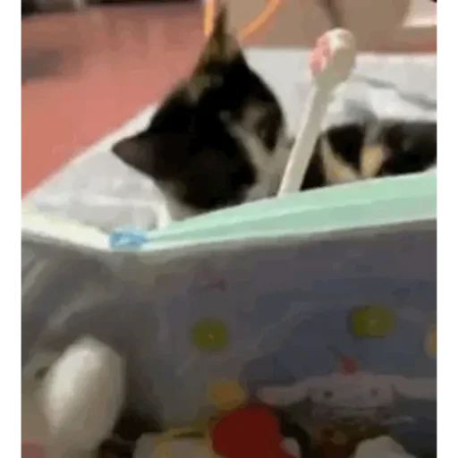 TikTok Animated Memes 9 - Sticker 18