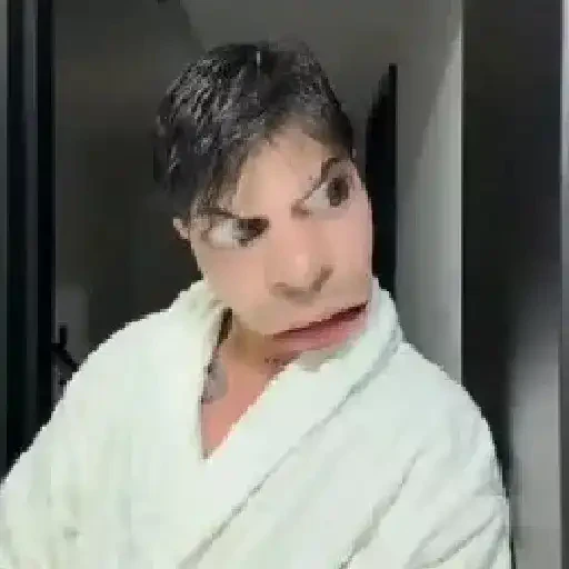 TikTok Animated Memes 9 - Sticker 27