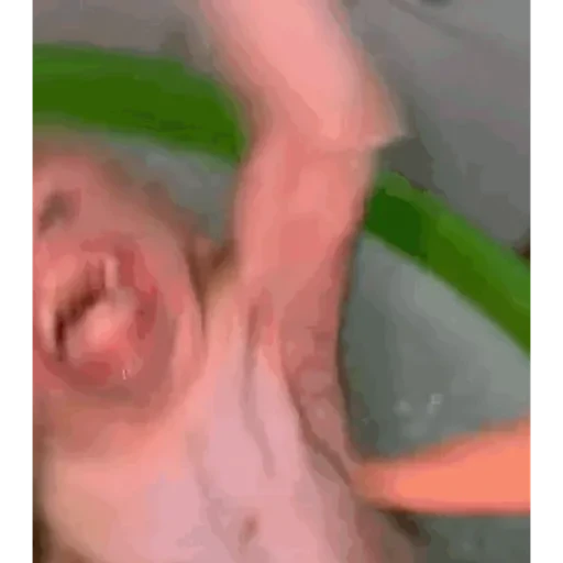 TikTok Animated Memes 9 - Sticker 12