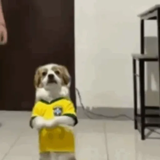 TikTok Animated Memes 9 - Sticker 19