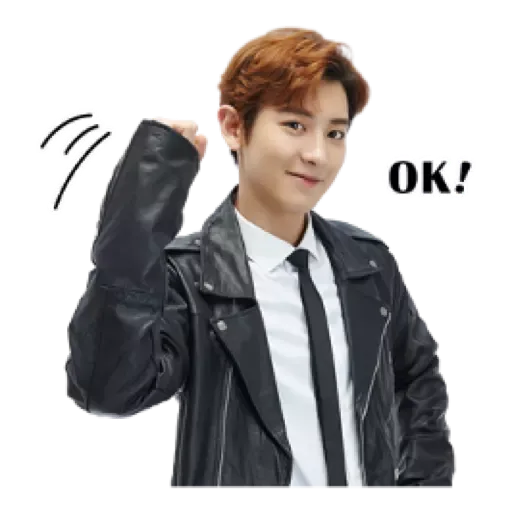Exo - Sticker 18